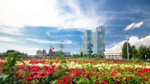 Flowerbed with red and yellow flowers on embankment timelapse hyperlapse on the background of blue