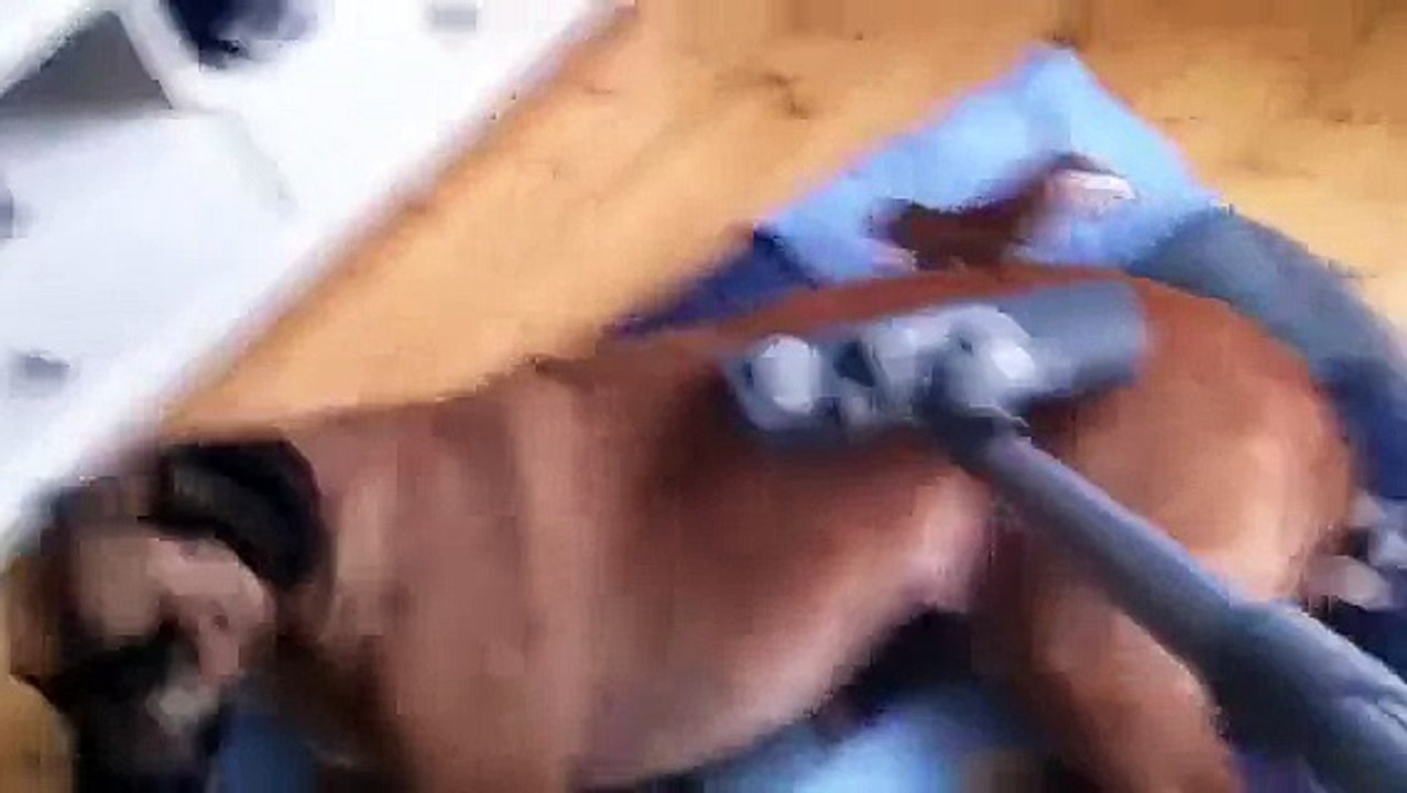 Karebo