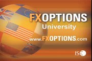 Pt 8 Steve Meizinger on Back to Basics: FX Options Greeks