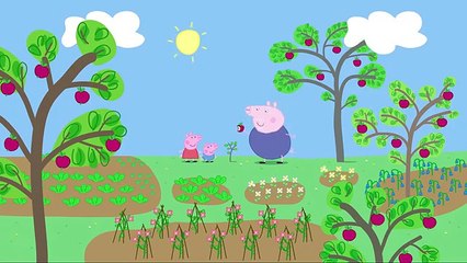 Peppa Pig - Growing Strawberries (clip)