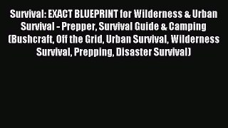 Read Survival: EXACT BLUEPRINT for Wilderness & Urban Survival - Prepper Survival Guide & Camping