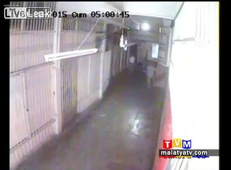 Shot Dead Point Blank With a Shotgun