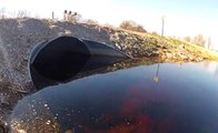 Swimmers Beware of What's In This Water
