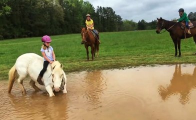 Little Girl's Horse Decides To Play In The Mud