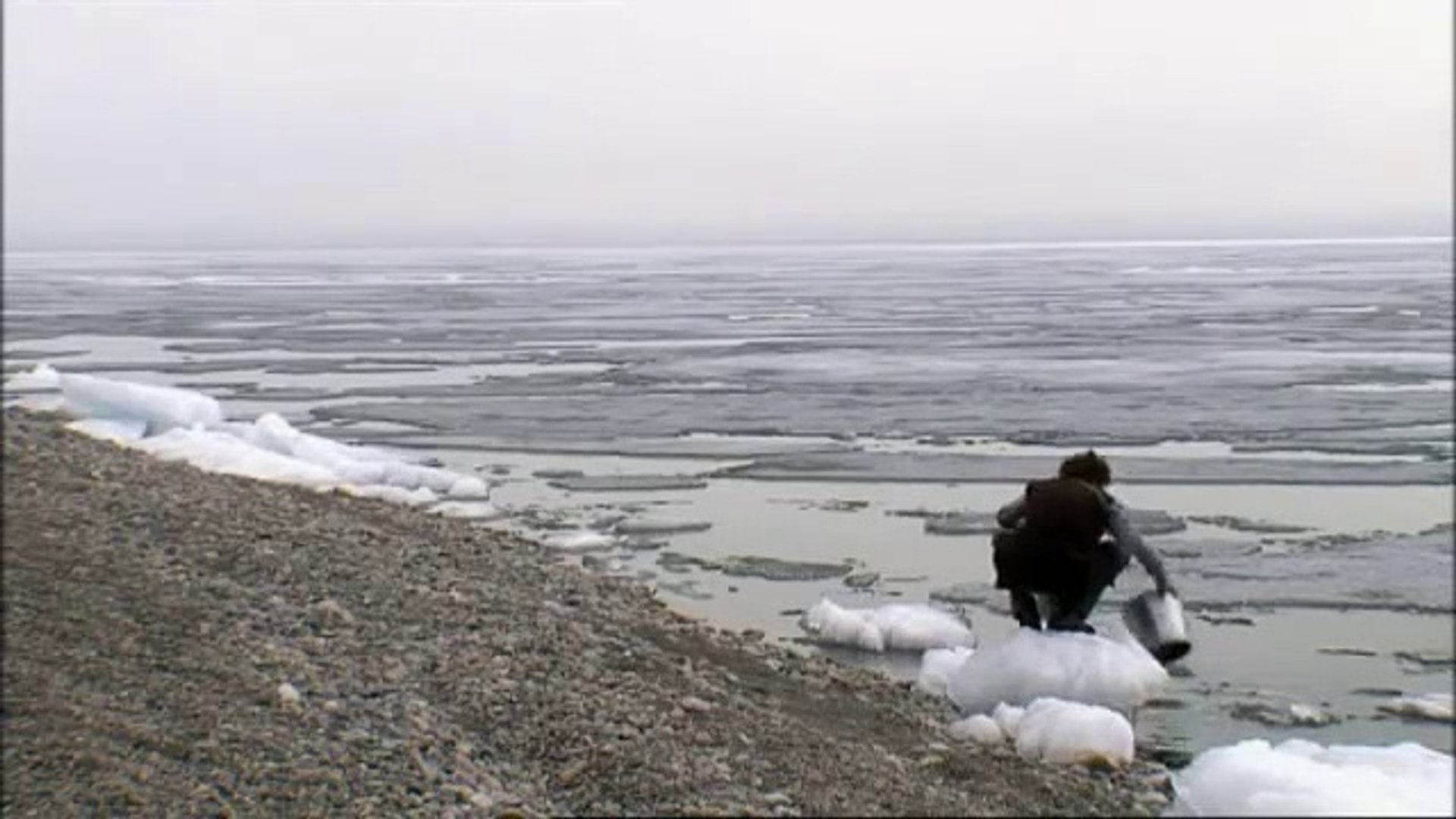 Dans les Forêts de Sibérie : le film de Sylvain Tesson - Vidéo