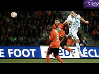 PSG vs Fc Lorient 1-0 Buts & Résumé 19_04_2016 Coupe De France