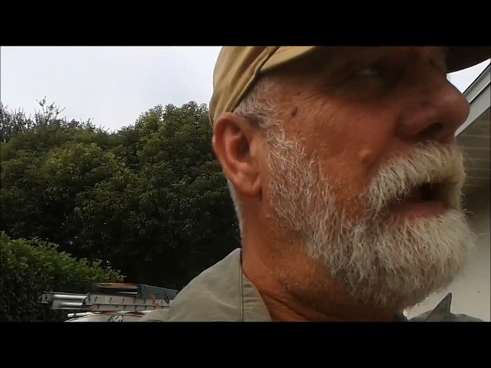 Live bee removal from Block wall