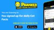 Pranker - Funny Prank Call App - You signed up for daily Cat Facts