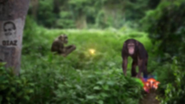 Joe Rogan talks Conor McGregor - Nate Diaz Rematch and Cyborg joining UFC