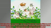 EBOOK ONLINE  Coloring Book For Adults The Most Beautiful Adorable Kittens and Cats Coloring Book For  FREE BOOOK ONLINE