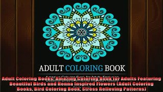 FREE DOWNLOAD  Adult Coloring Books Amazing Coloring Book for Adults Featuring Beautiful Birds and Henna  BOOK ONLINE