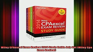 READ book  Wiley CPAexcel Exam Review 2014 Study Guide July Set Wiley Cpa Exam Review Full EBook