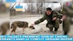 Des soldats prennent soin de chiens errants dans le conflit Ukraine-Russie ! Plus d'infos dans la minute chien #195