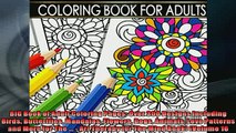 EBOOK ONLINE  BIG Book of Adult Coloring Pages Over 300 Designs Including Birds Butterflies Mandalas  FREE BOOOK ONLINE