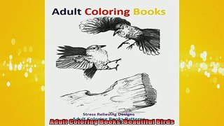 READ book  Adult Coloring Books Beautiful Birds  FREE BOOOK ONLINE