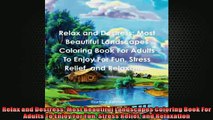 Free PDF Downlaod  Relax and Destress Most Beautiful Landscapes Coloring Book For Adults To Enjoy For Fun  DOWNLOAD ONLINE