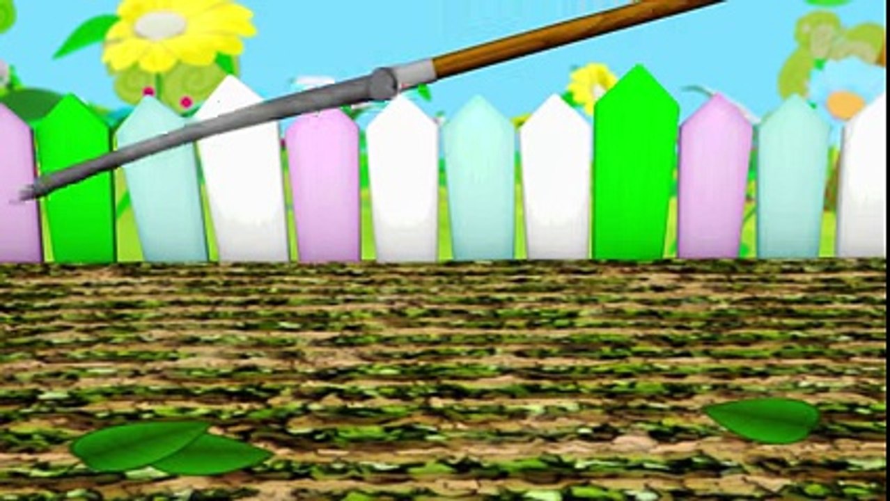 Kids Cartoons in 3D animation- How do Plants & Flowers Grow- { 植物及花卉} - YouTube