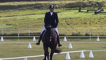Weemala Dartanian - Harden Horse Trials Dressage 2014