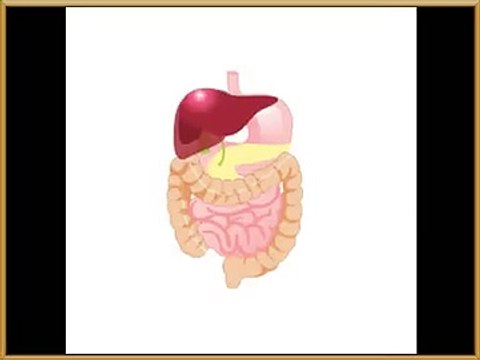학성동출장안마 ◆olo-4931-1169◆출장안마☚ 학성동출장마사지