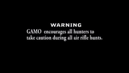 Gamo Varmint Hunter Air Rifle