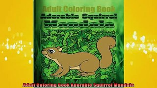 FREE PDF  Adult Coloring Book Adorable Squirrel Mandala  BOOK ONLINE