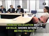 Chinese delegation meets CM Raje, shows interest in metro project