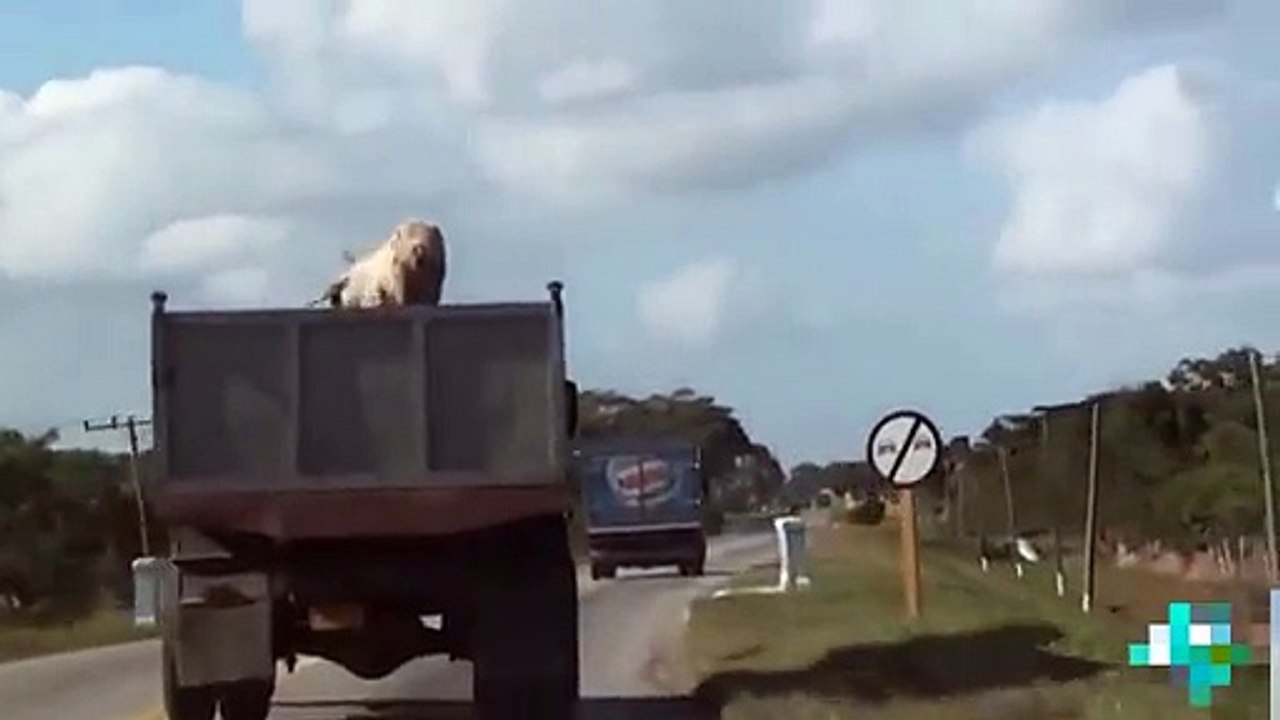 Funny Videos - Fails Compilation - Funny Pranks - Funny People - Funny Clips - Funny Fails - Video D