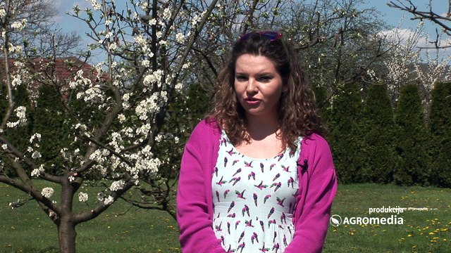 Kada bi i kako trebalo da koristite preparate za zaštitu soje 446