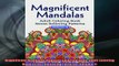READ book  Magnificent Mandalas Mandala Coloring Book Adult Coloring Book Stress Relieving Patterns  FREE BOOOK ONLINE