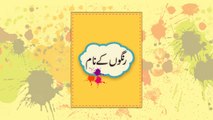 Rangon ke Naam (Urdu Flashcards)