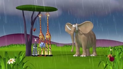 Funny Animals Cartoons Compilation Just for Kids  Babies and Toddlers For Fun