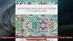 EBOOK ONLINE  Playground of Patterns A Magical Mandala Expansion Pack Color Magic Volume 5 READ ONLINE