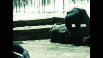 X-Men Apocalypse - Vidéo virale sur En Sabah Nur