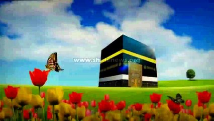 Birth Celebration of Imam Ali a,s