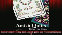 READ book  Amish Quilts Coloring Book Amish Quilts and Proverbs Volume 1 READ ONLINE