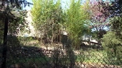 La disparition de Colette Deromme, à Lorgues