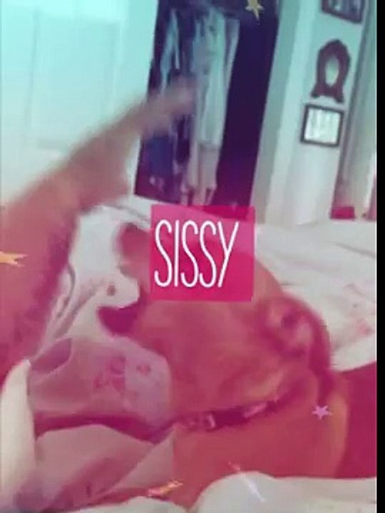 Sissy  (Created with @Magisto)