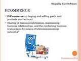 Shopping cart software for Ecommerce Business