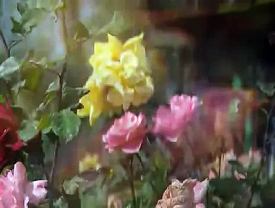 Yemen İllerinde Veysel Karani (radıyallahü anh) Müziksiz İlahi