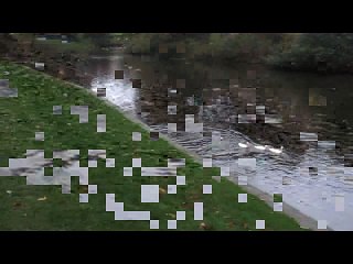 Mission Canard Impossible Mais Possible (MCIMP)