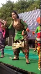 Punjabi Dancer Dance On Stage