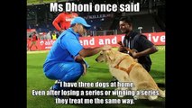 DHONI CRYING after Losing World Cup T20 2016 semifinal against West Indies...-( - live