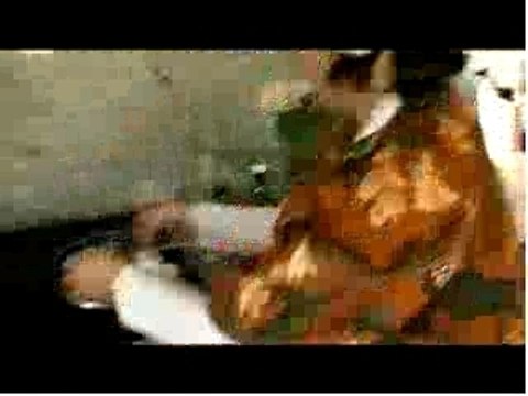 Zetjehuisophetspel.nl: grappige filmpjes van Centraal Beheer