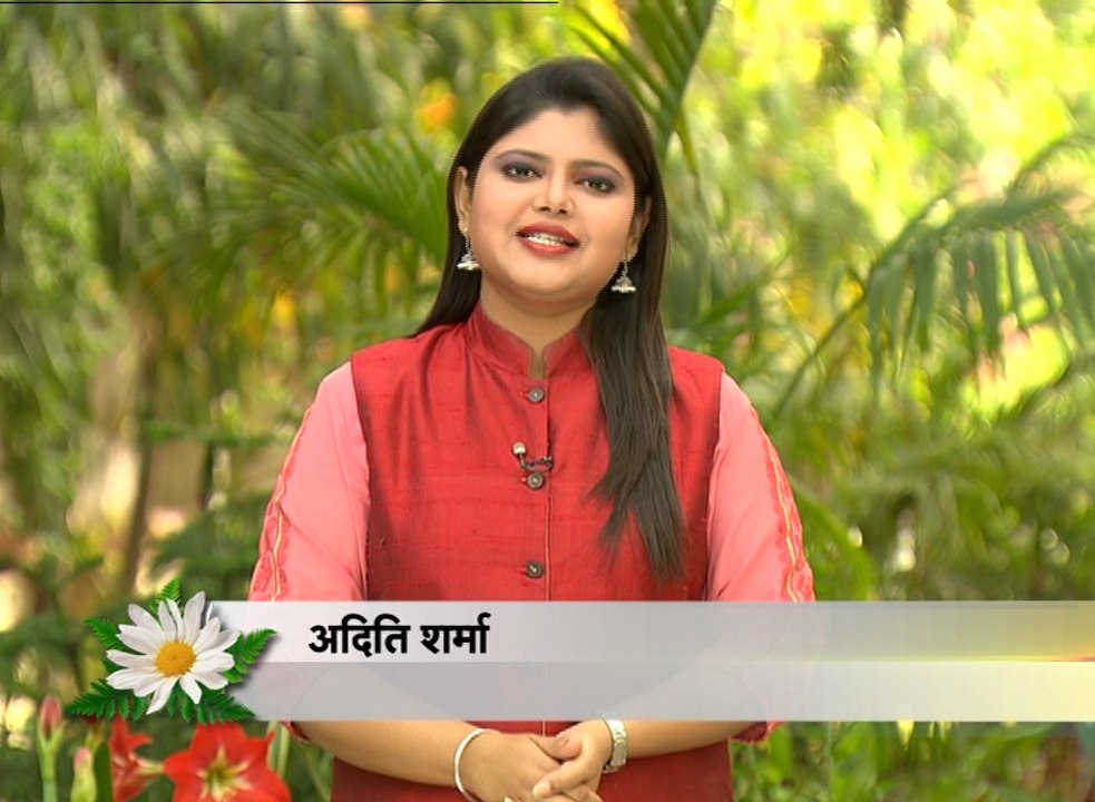 छत पर बागवानी | Chhat Par Bagwani (02-04-2016)