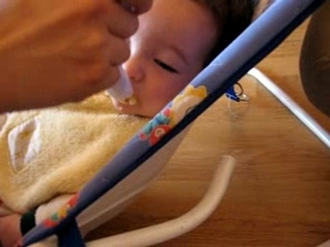 Premières cuillères de compotte