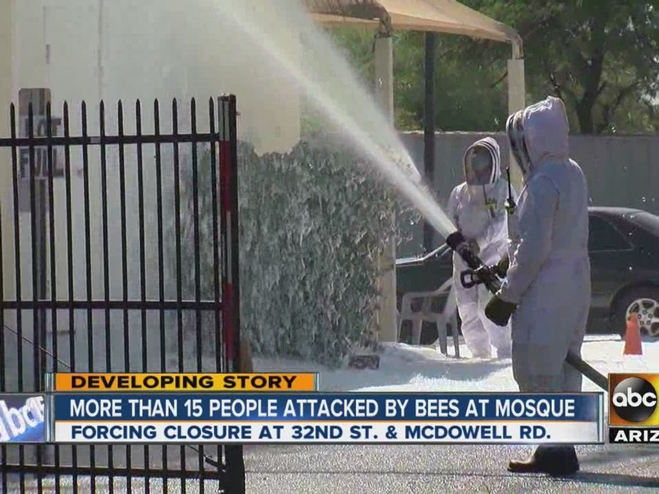 Thousands of bees attack people at mosque