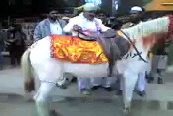 Pakistani Funny Clips Dulha Ghora 2014