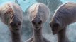 10 Most Compelling Pieces Of Evidence That Prove Aliens Have Visited Earth