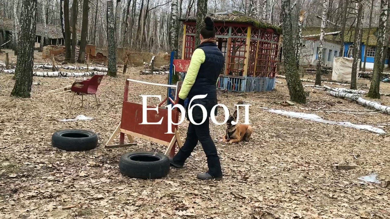 Ербол на занятиях