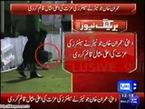 OMG What Imran Khan Junior is Doing With Jogers of Shahid Afridi - live